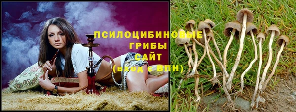 spice Бугульма