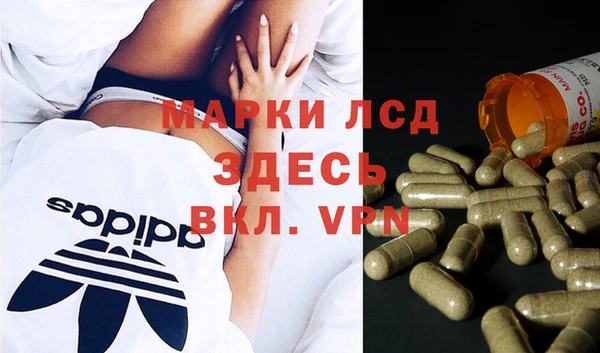 spice Бугульма