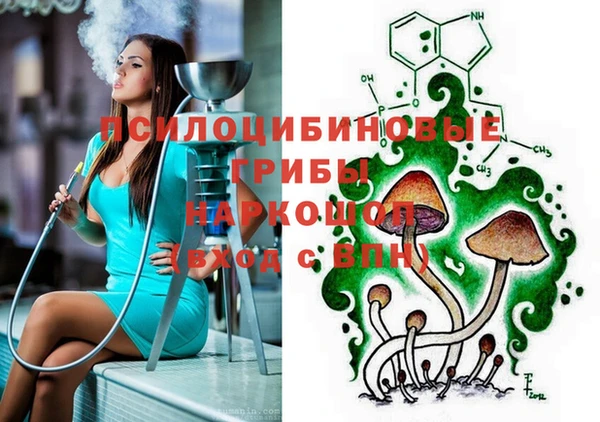 spice Бугульма