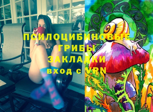 spice Бугульма