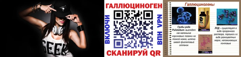 купить наркоту Шуя Псилоцибиновые грибы мицелий